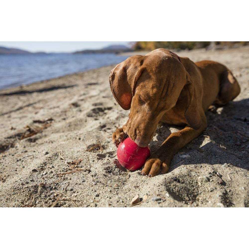 Dog Toy Ball J107669