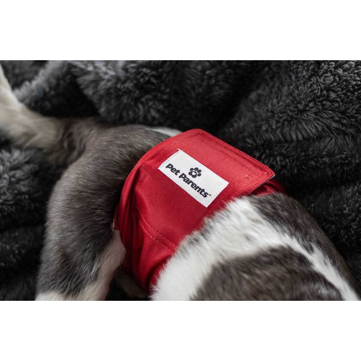 Washable Dog Belly Bands D553