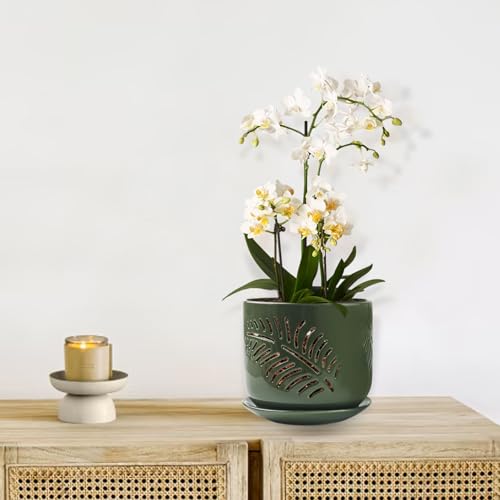 2 Pack 6+5 inch Ceramic Orchid Pots with Holes J770