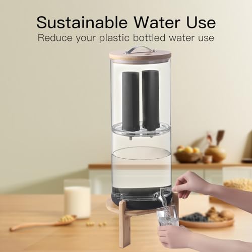 2.25 Gallon Glass Water Filter with Stand F873758