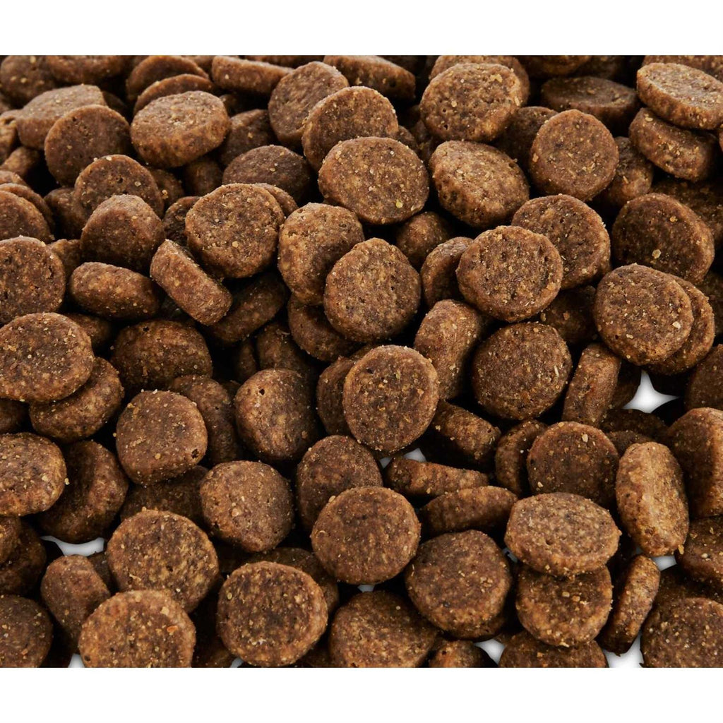 Grain Free Salmon and Pea Recipe Dry Dog Food J404