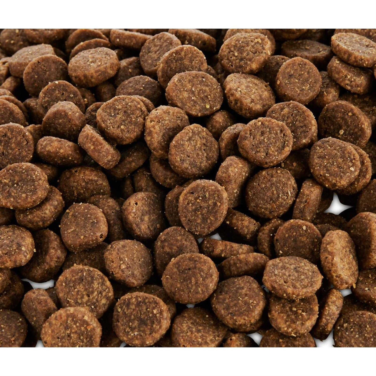 Grain Free Salmon and Pea Recipe Dry Dog Food J404