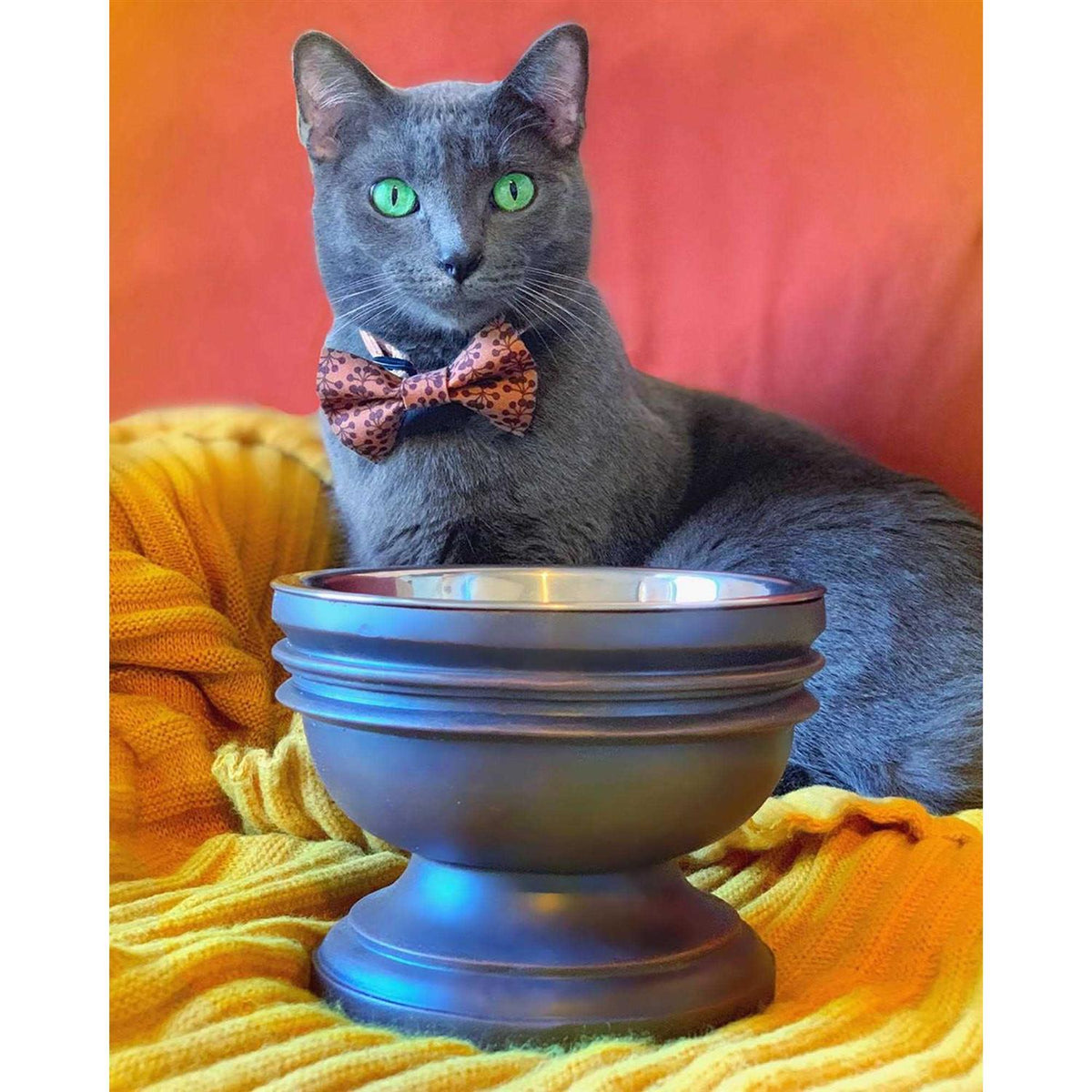 Elevated Dog Bowl P329944