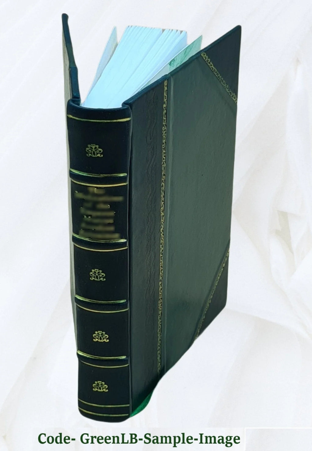 Leather Bound Book K503558