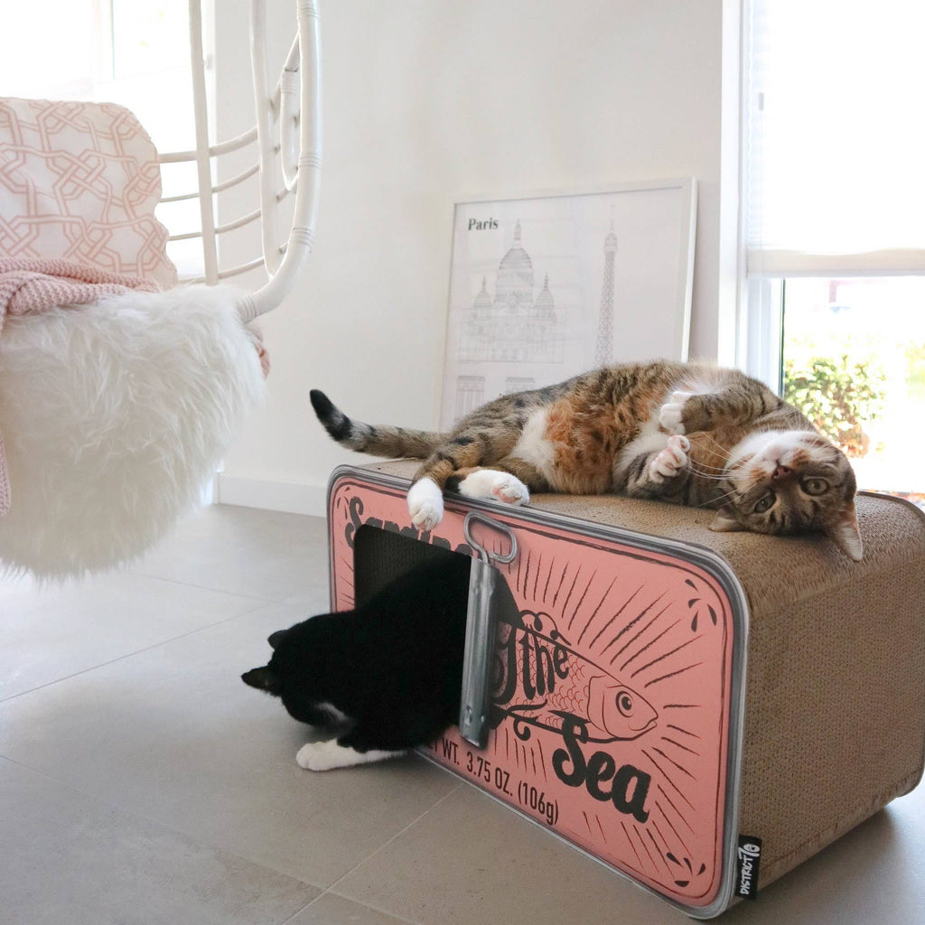 Cardboard Cat Scratcher Q3182