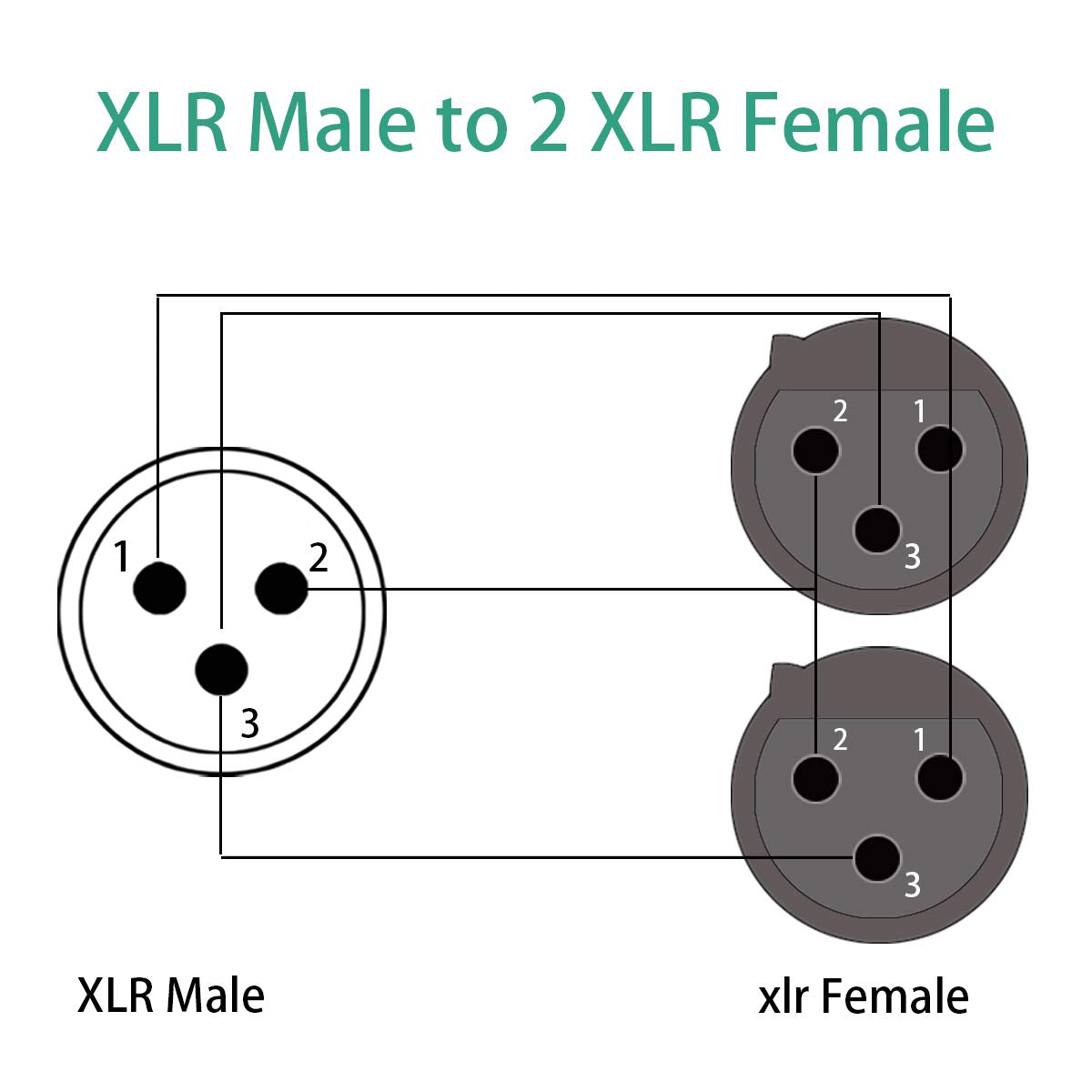 XLR Y-Cable 2 Female to 1 Male 1.6ft B616