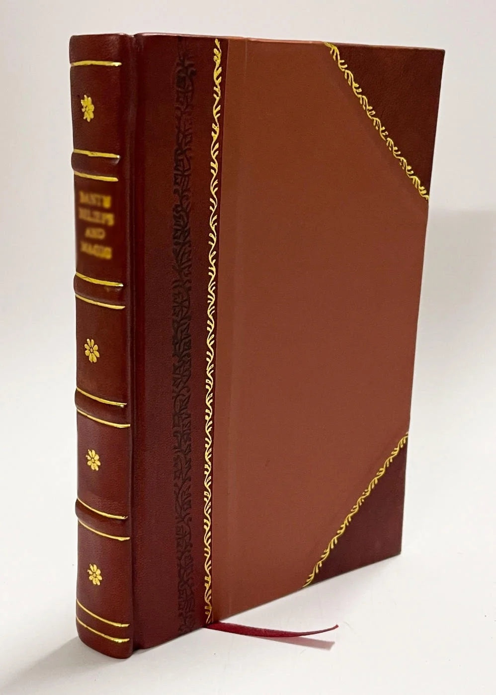 Leather Bound Novel I39303