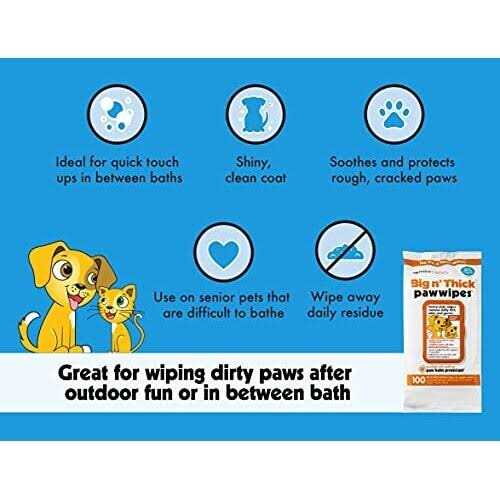 Pet Wipes Q53672
