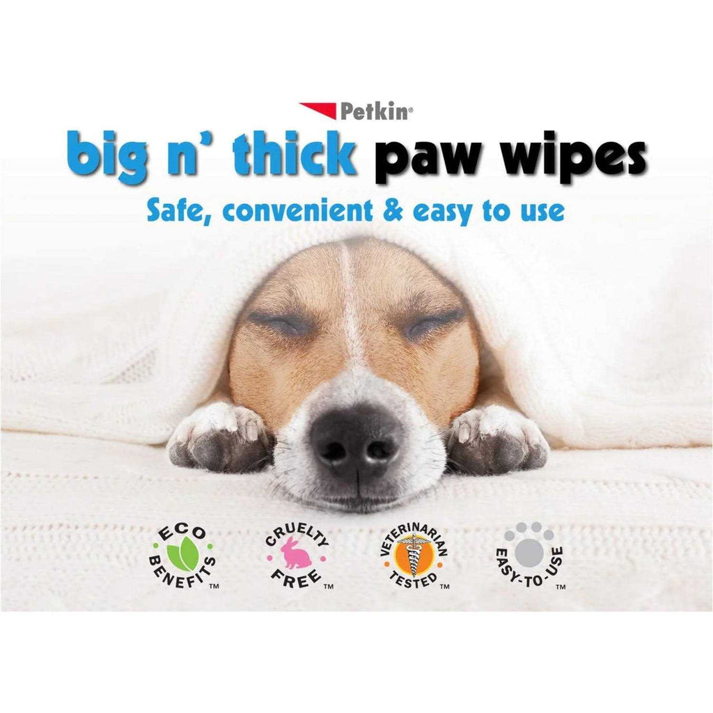 Pet Wipes Q53672
