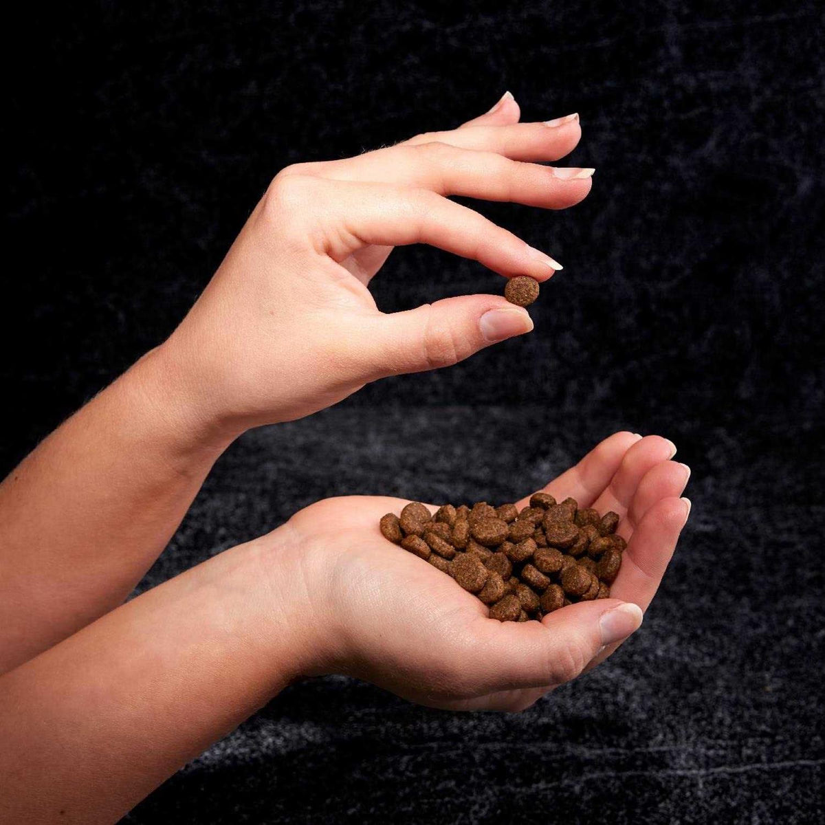 Grain Free Adult Dry Dog Food with Protein Q685439