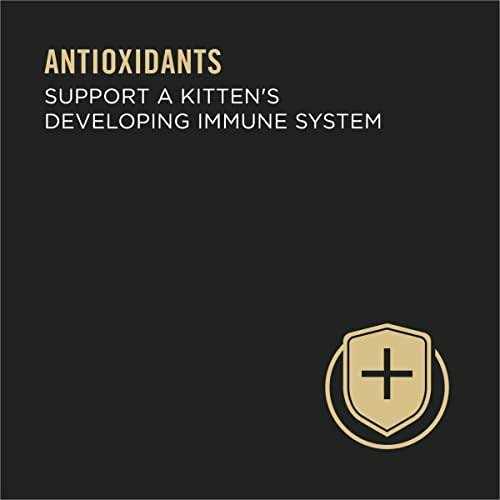 Grain Free Pate Wet Kitten Food S11002