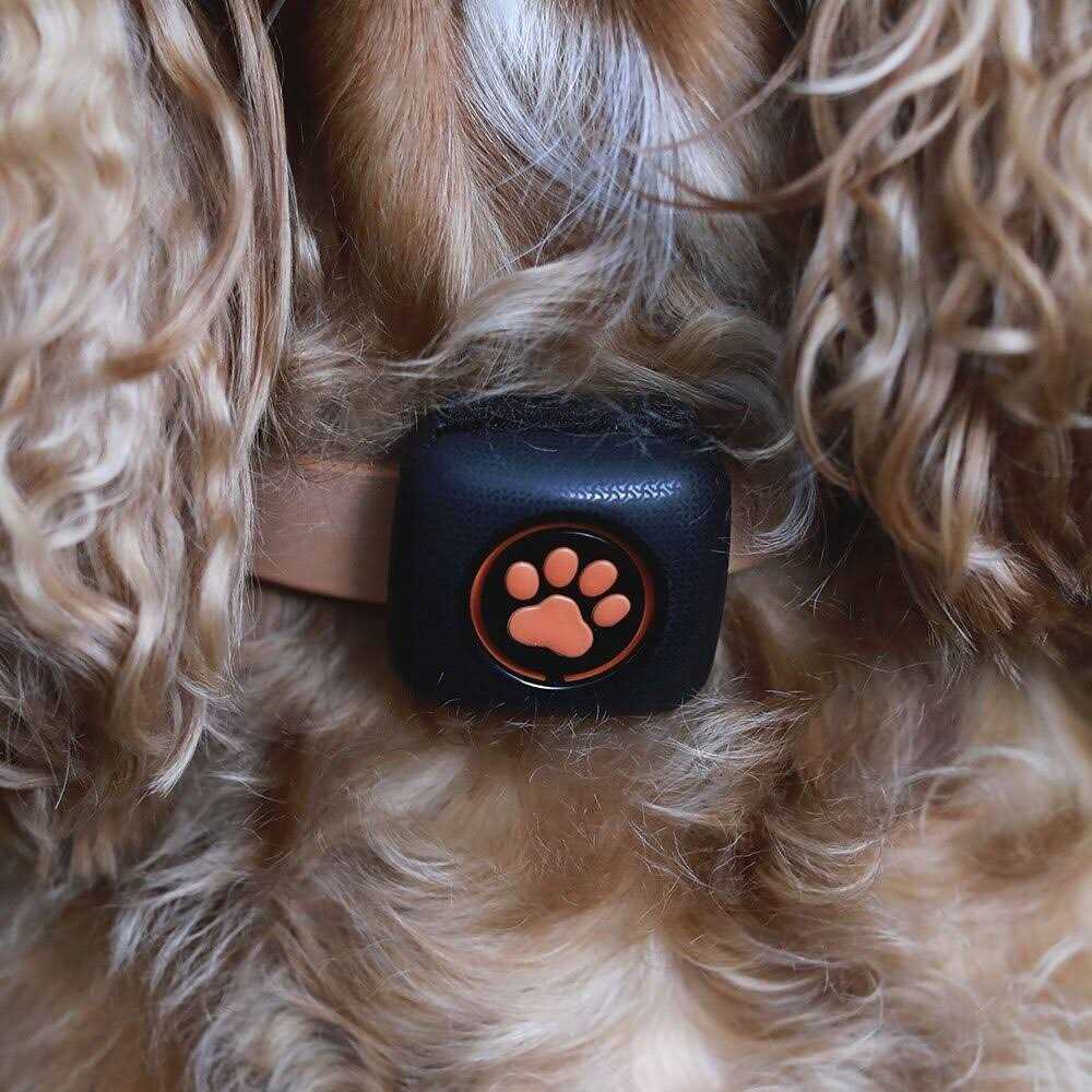 Dog Activity and Fitness Monitor L9140