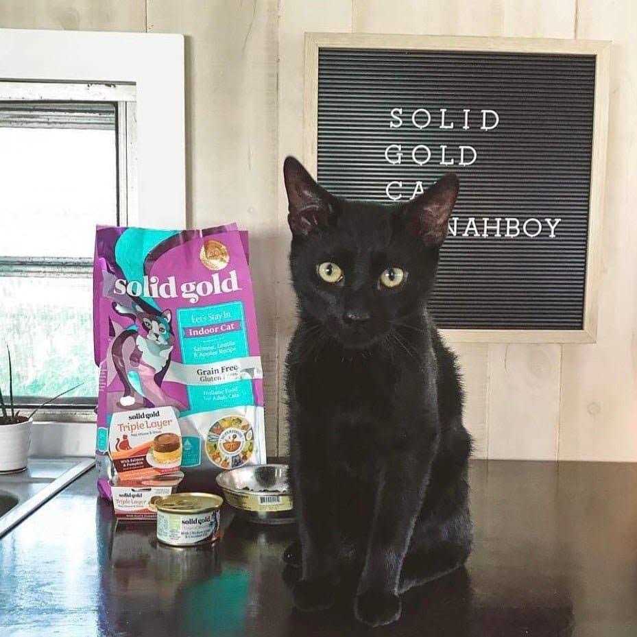 Grain-Free Dry Cat Food R3974