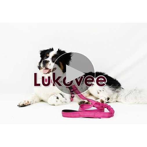 Heavy Duty Adjustable Reflective Dog Harness and Leash C20867