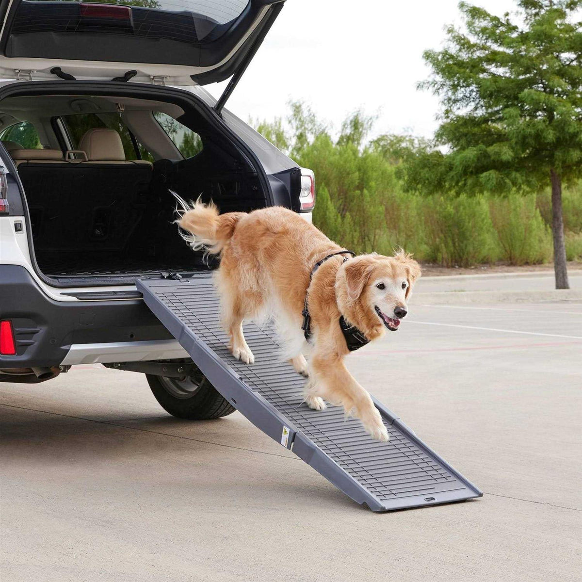 Tri-Fold Travel Dog Car Ramp L98596
