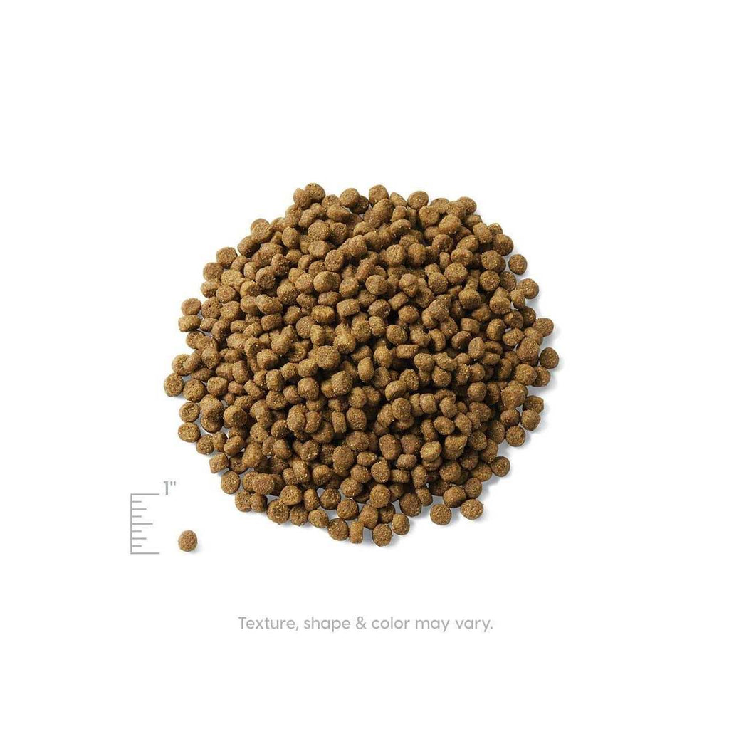 Grain-Free Dry Cat Food R3974