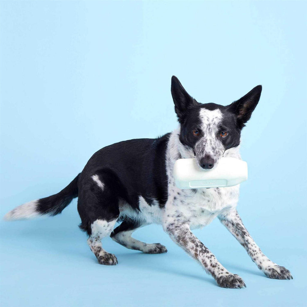 Cow Dog Toy S18908