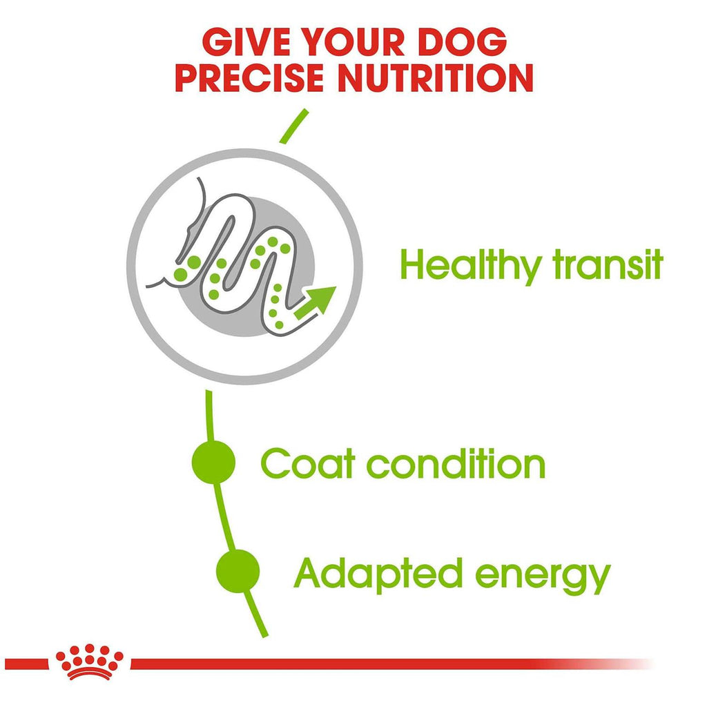 X-Small Adult Dry Dog Food I275190