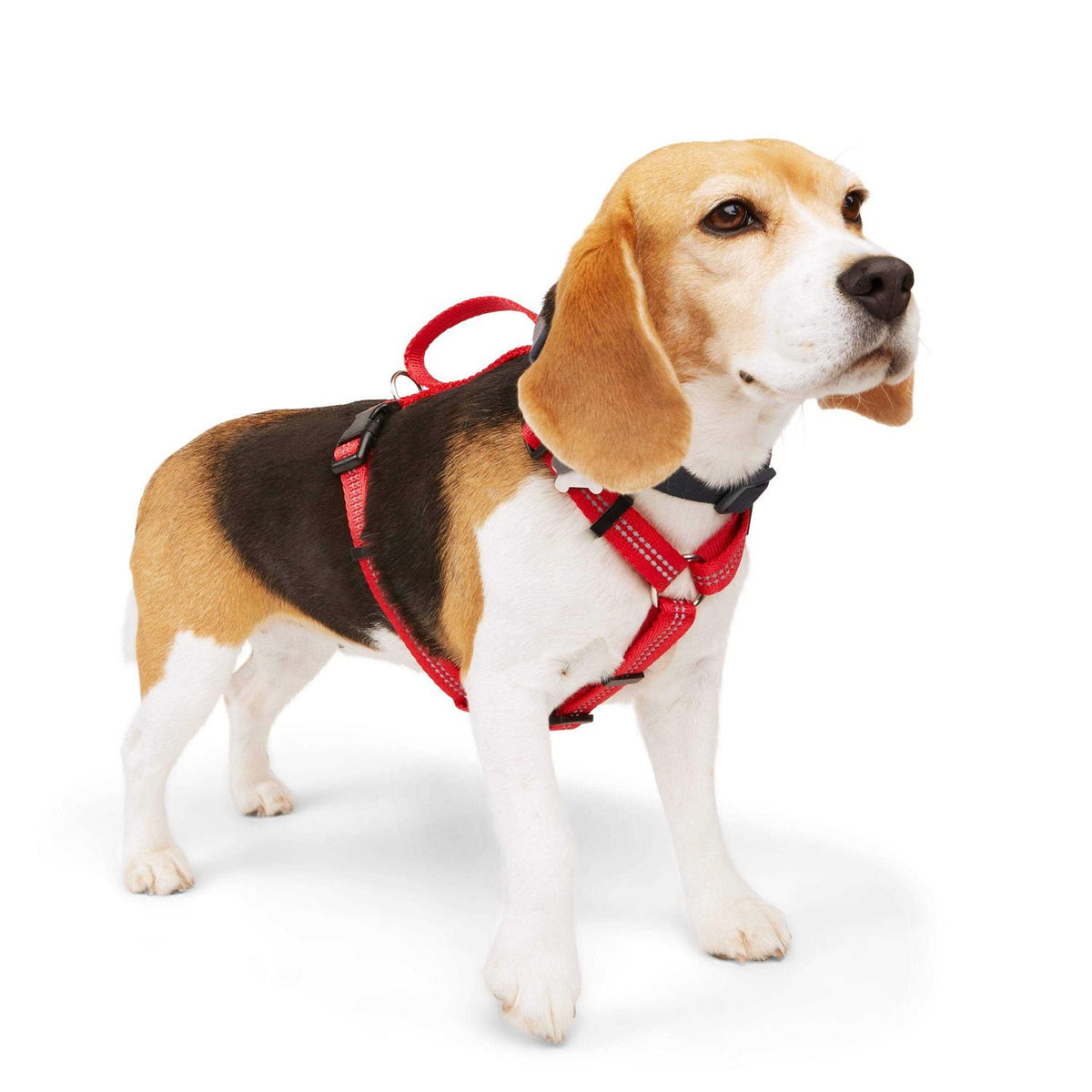 Reflective Dog Harness X82707