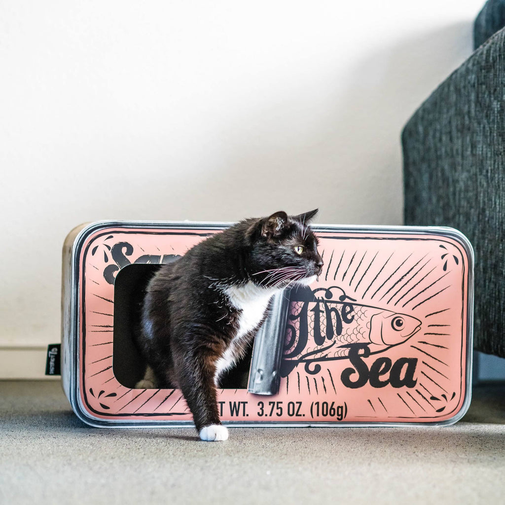 Cardboard Cat Scratcher Q3182