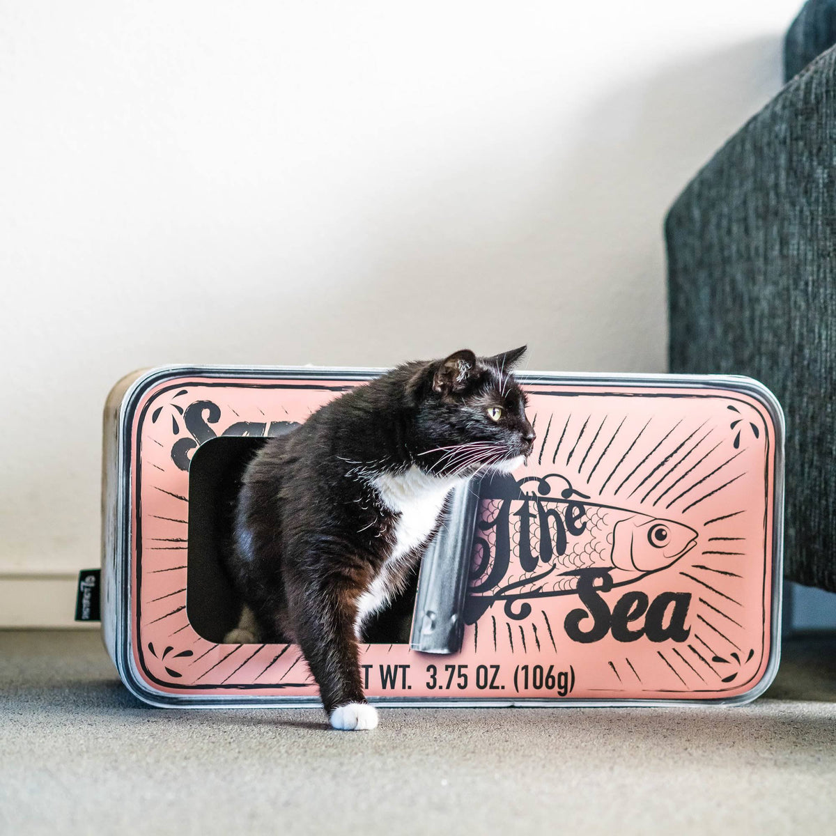 Cardboard Cat Scratcher Q3182