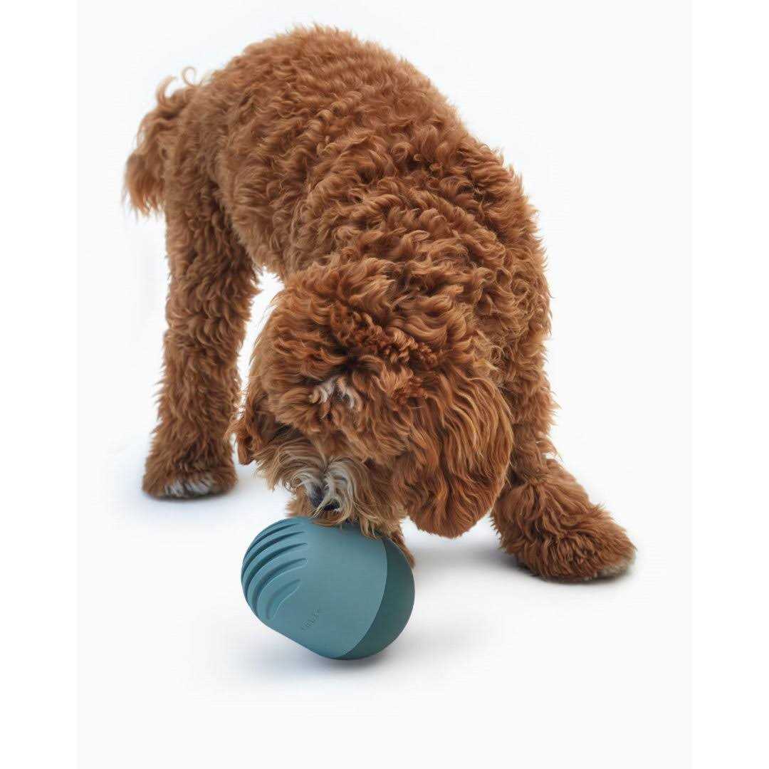Dog Toy C2843