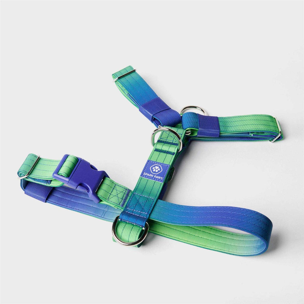 No-Pull Dog Harness V9639