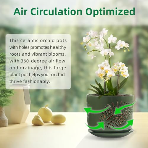 2 Pack 6+5 inch Ceramic Orchid Pots with Holes J770