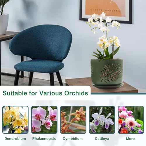 2 Pack 6+5 inch Ceramic Orchid Pots with Holes J770