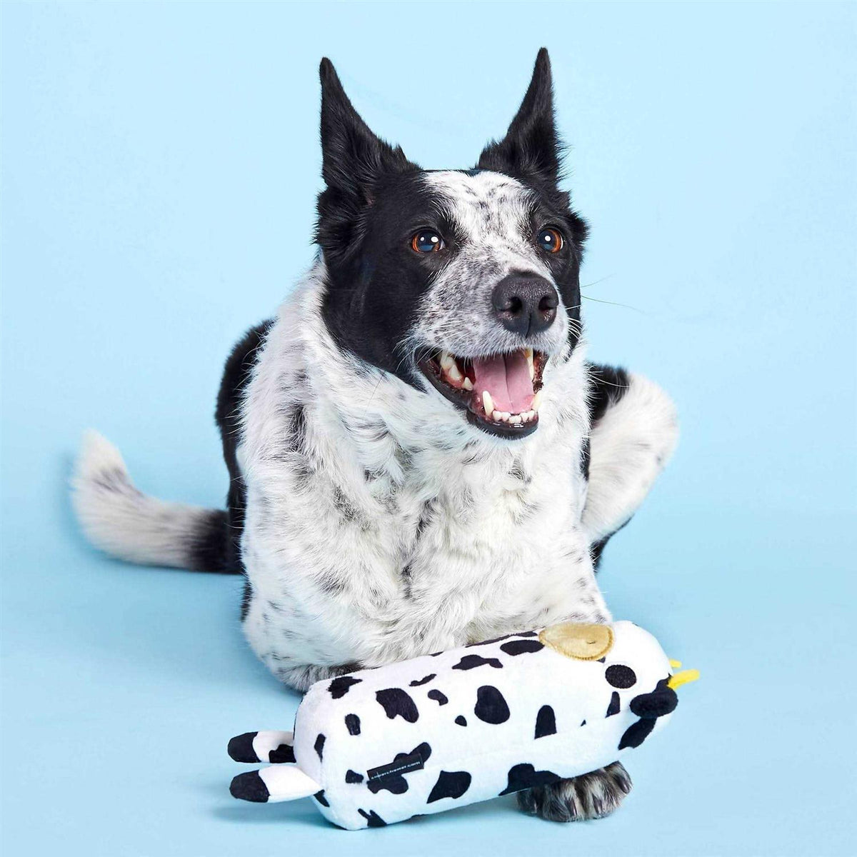 Cow Dog Toy S18908