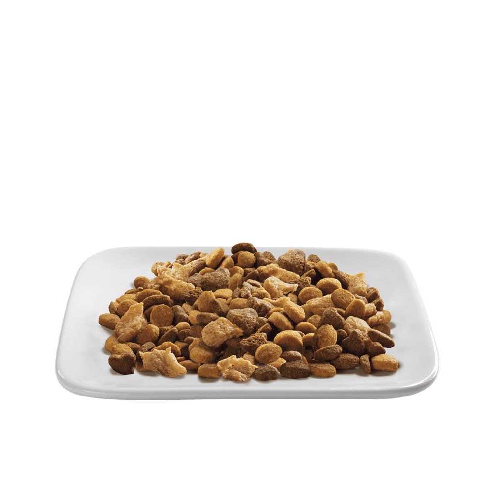 Indoor Hairball Management Shredded Blend Turkey & Rice Formula Dry Cat Food W422387