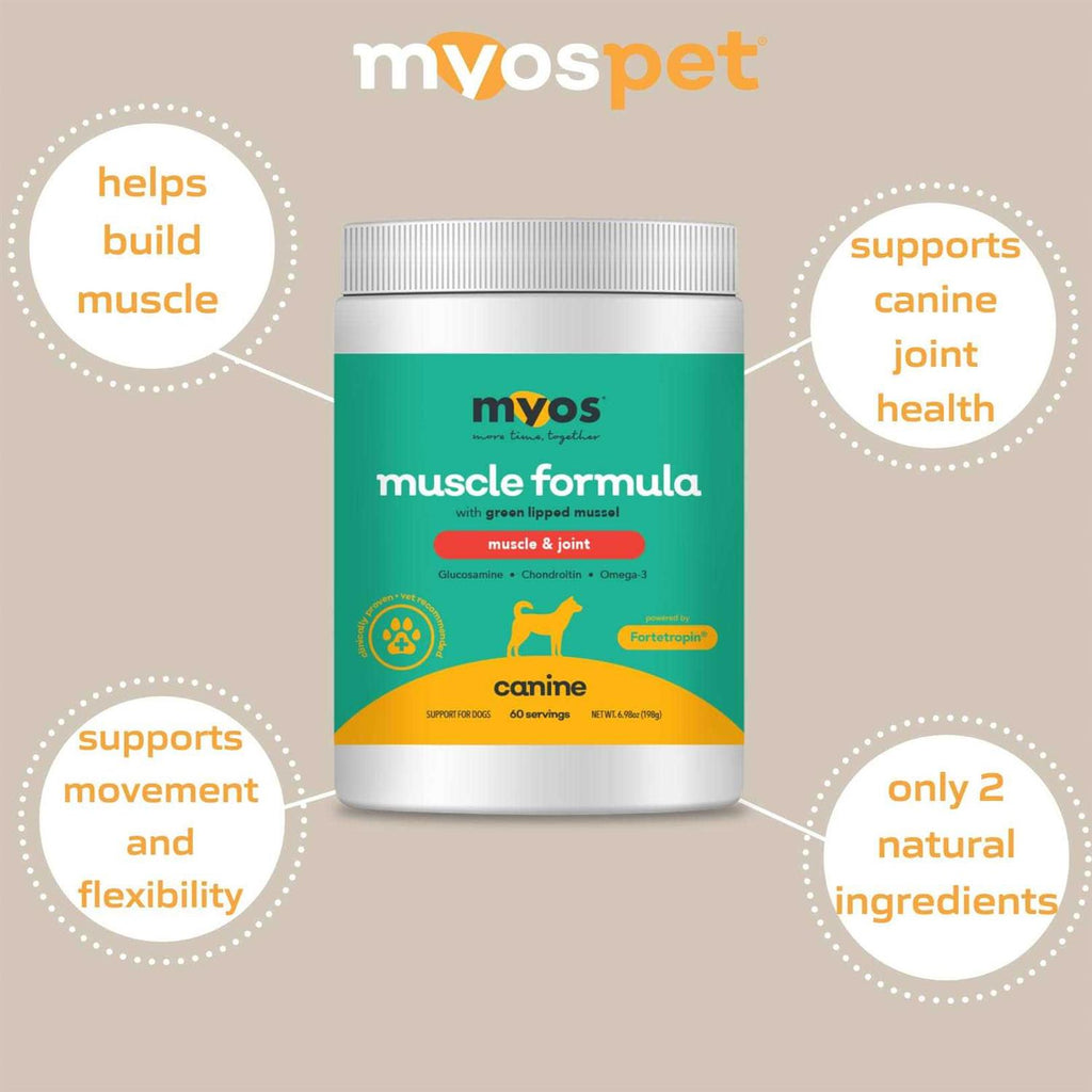 Dog Supplement with Green Lipped Mussel Powder G326660