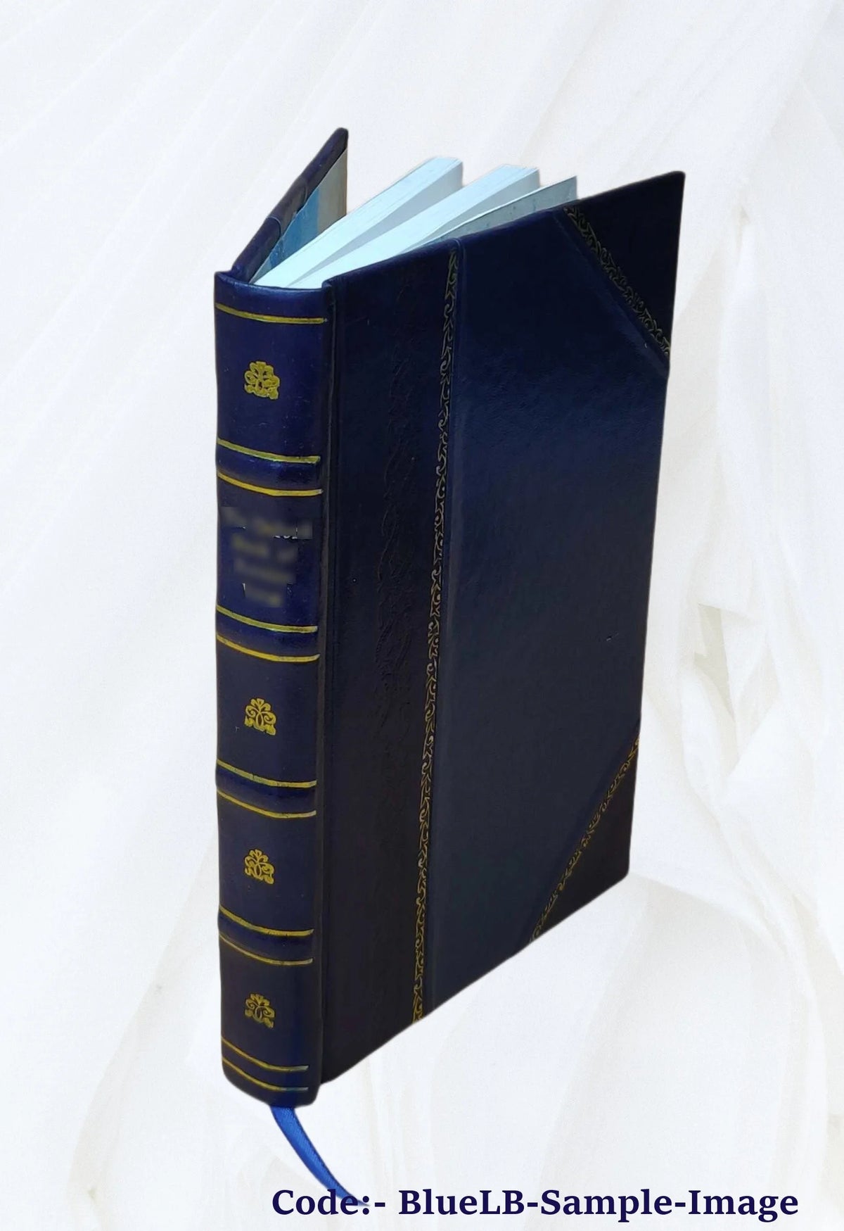 Leather Bound Book K503558