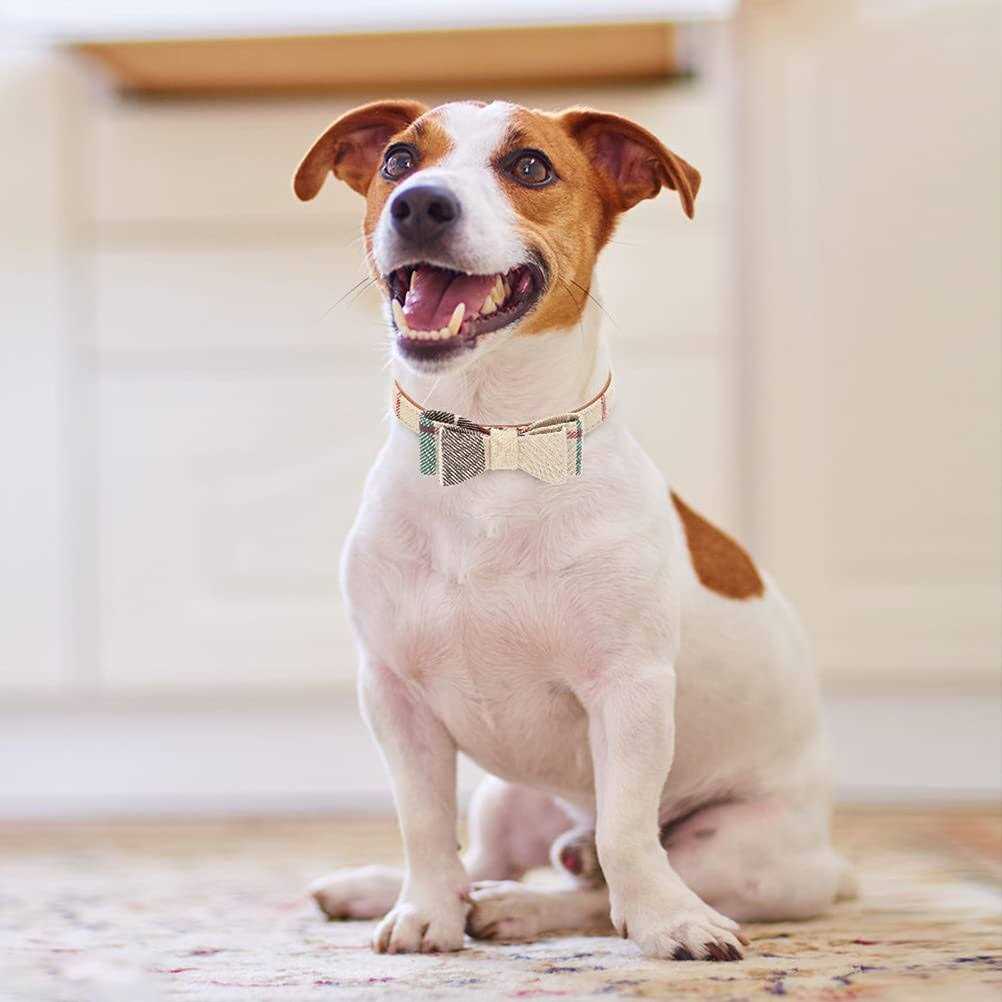 Bow Tie Dog Collar and Leash Set J29688