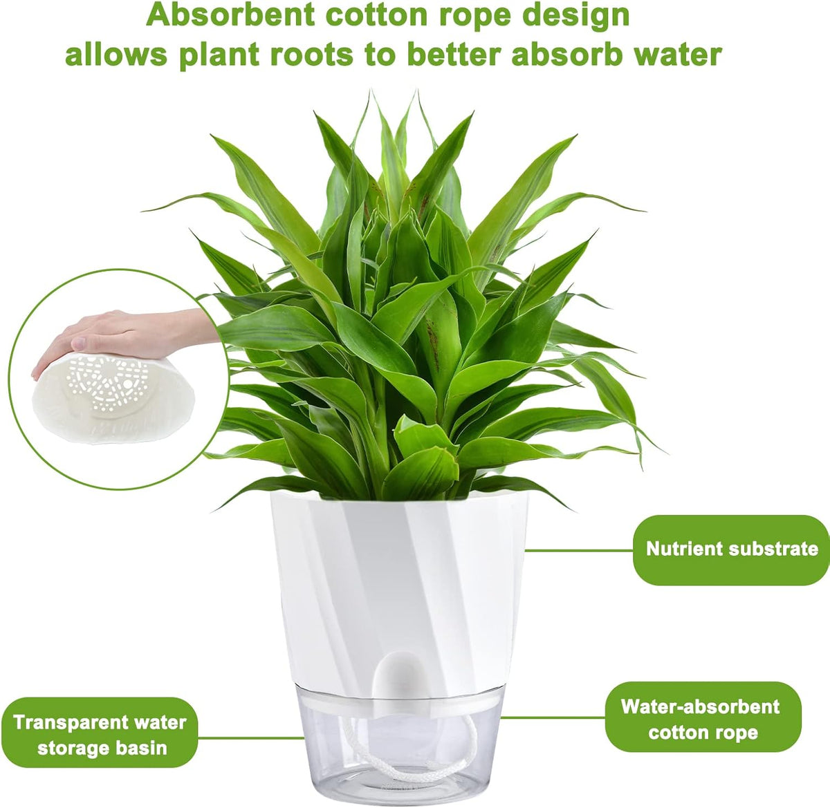6 Pack Self Watering White Plant Pots M265