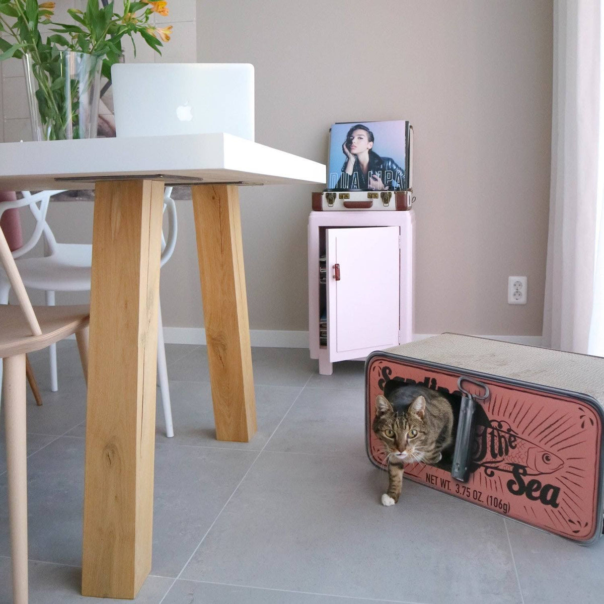 Cardboard Cat Scratcher Q3182