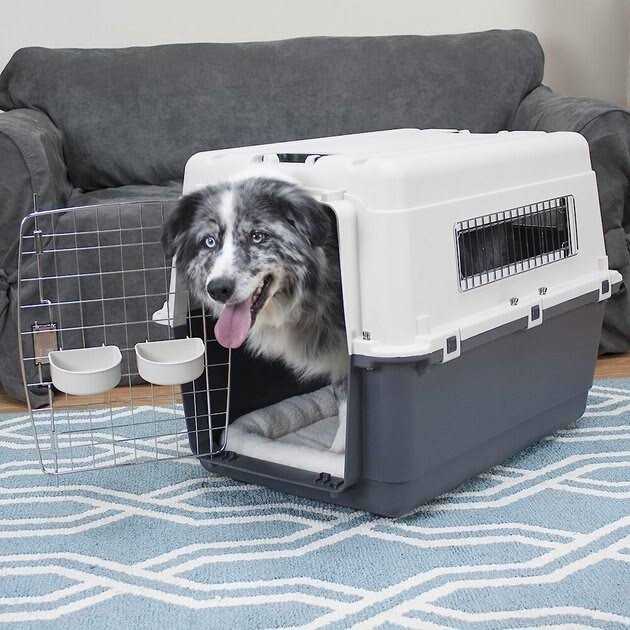 Dog Crate Y150165