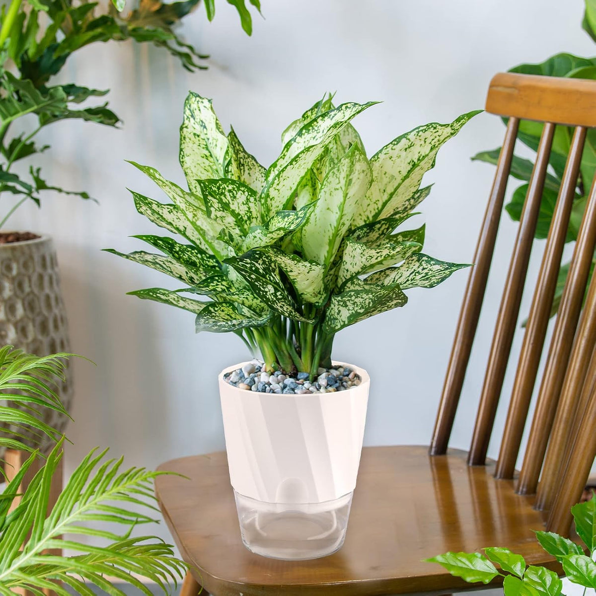 6 Pack Self Watering White Plant Pots M265