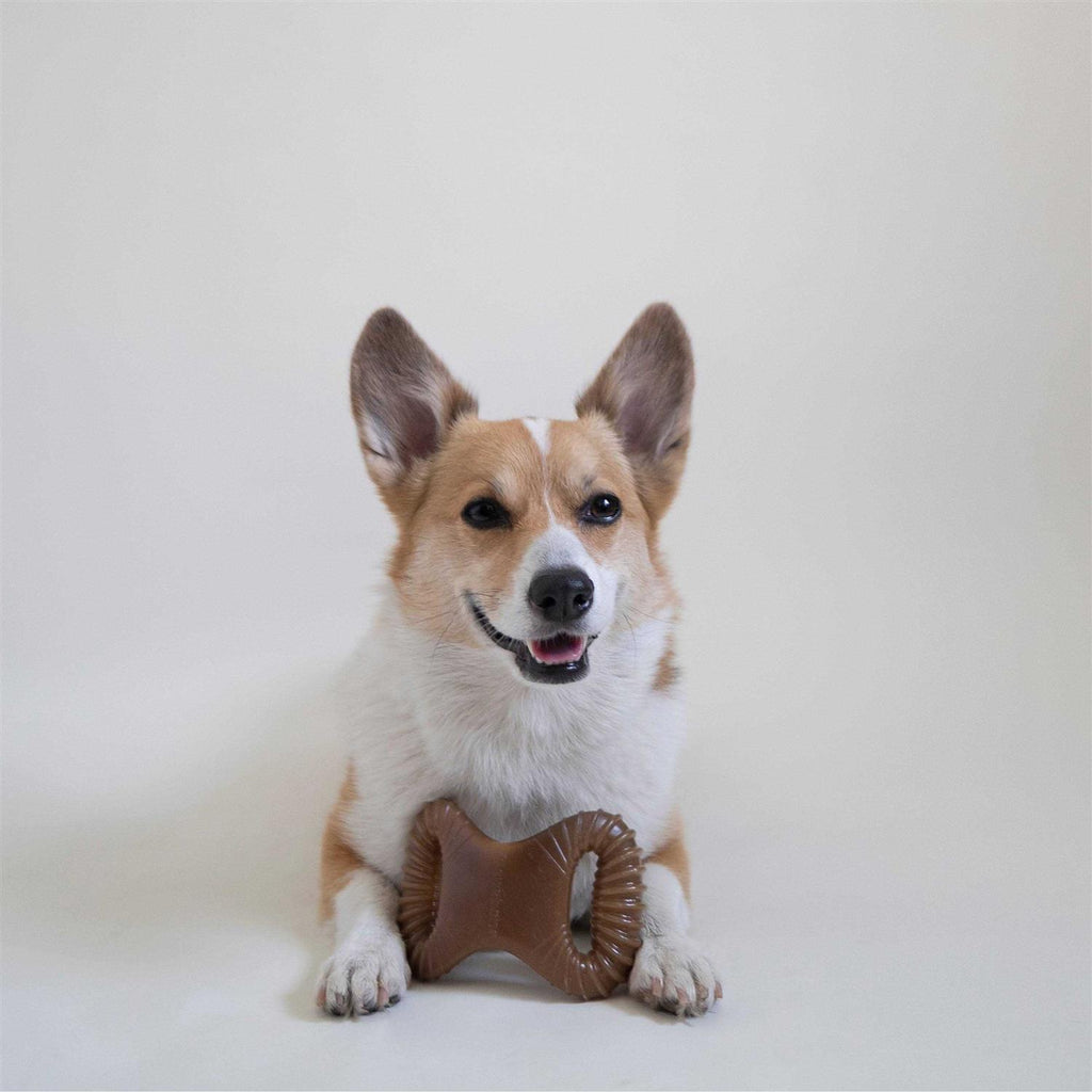 Dental Chew Dog Toy L35767