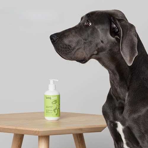 Omega Oil For Dogs H7031
