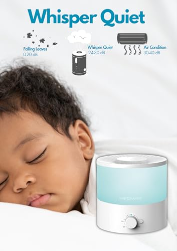 Ultrasonic Cool Mist Humidifier 1.5L R323