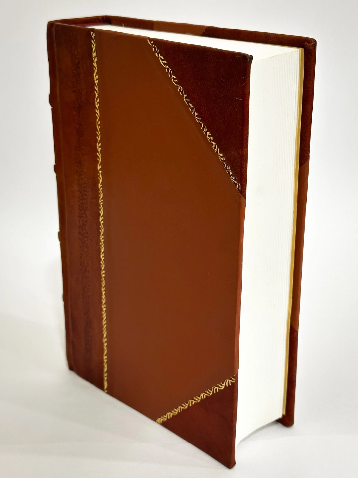 Leather Bound Novel I39303