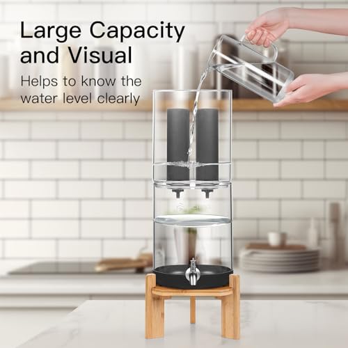 2.25 Gallon Glass Water Filter with Stand F873758