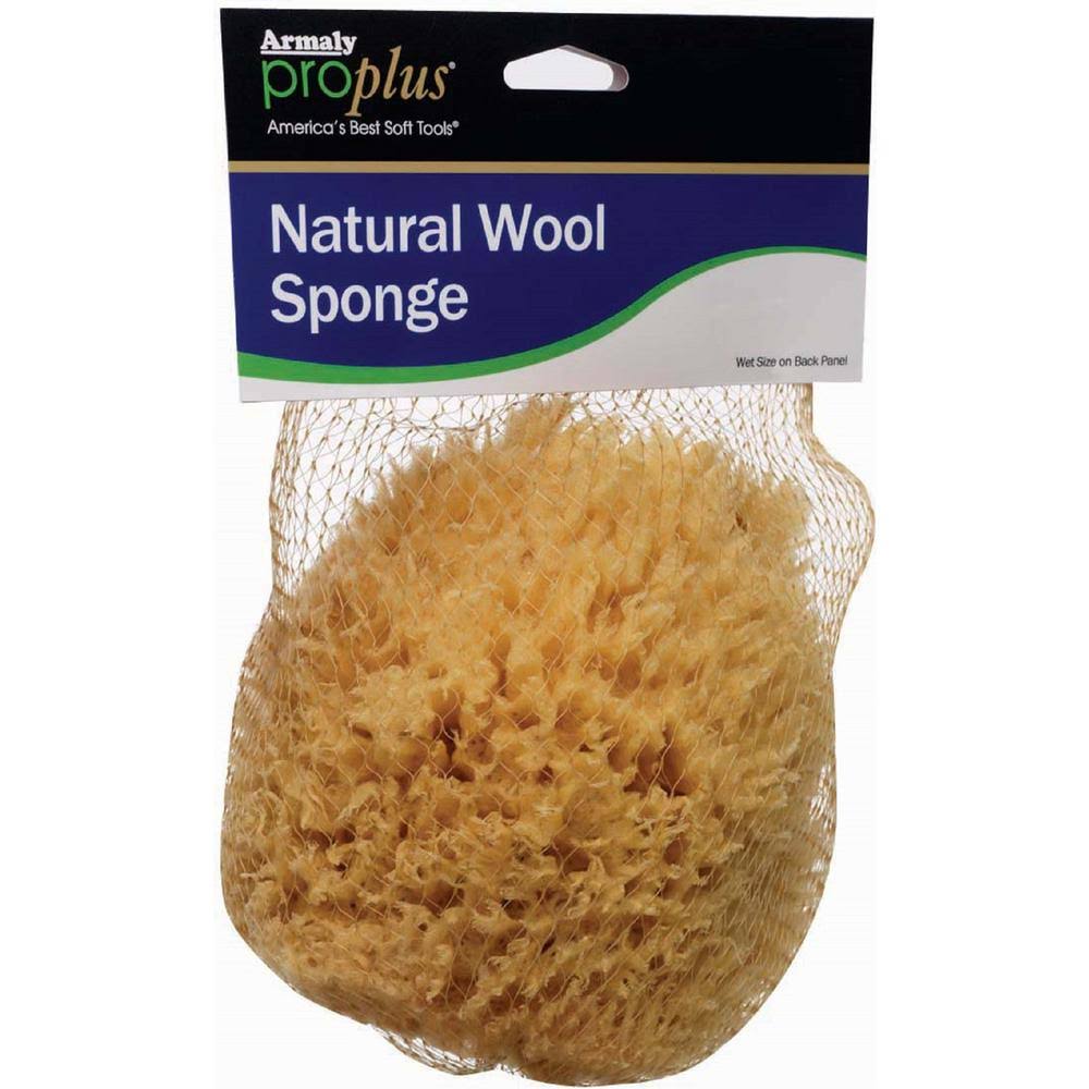 6 in. Natural Wool Sponge Case of 6 R617004