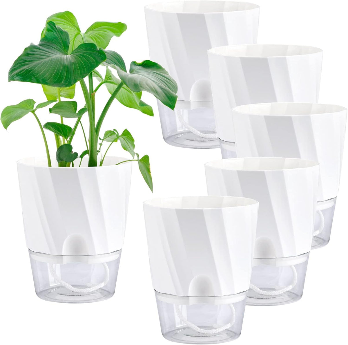 6 Pack Self Watering White Plant Pots M265