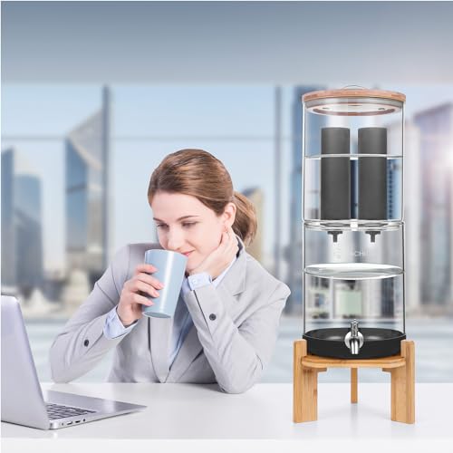 2.25 Gallon Glass Water Filter with Stand F873758