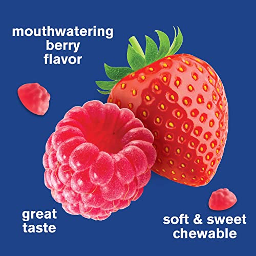 Prebiotic Fiber Gummies, Berry Flavor, 60 Count D4647