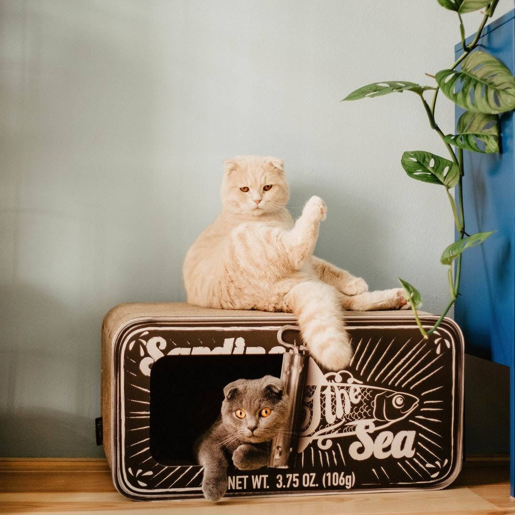 Cardboard Cat Scratcher Q3182