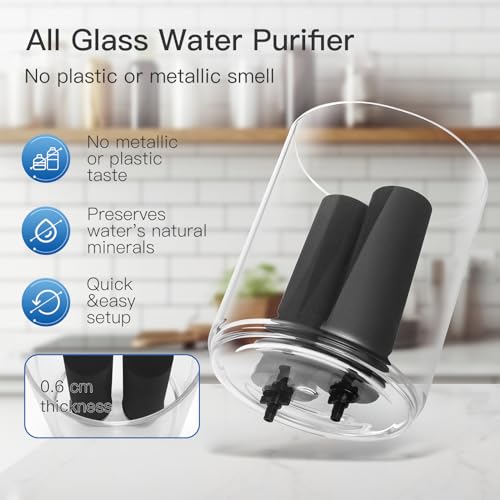 2.25 Gallon Glass Water Filter with Stand F873758