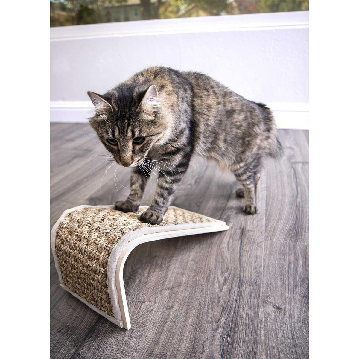 Sea Ramp Floor Scratcher with Catnip M809